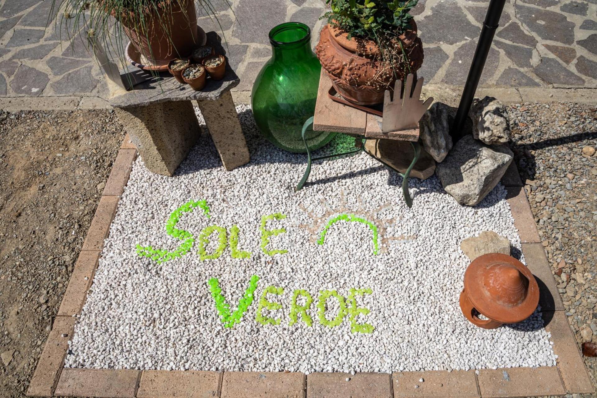 Sole Verde Green House Terricciola Eksteriør billede